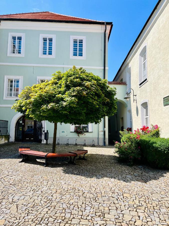 Apartmán Elen Nove Mesto nad Metuji Exterior foto